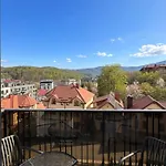Kvasova - Mountain 3*