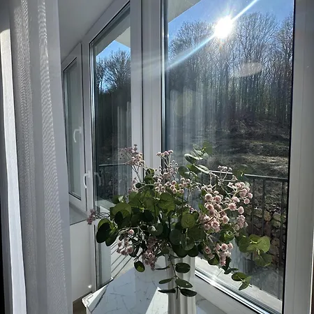 Apart-hotel Kvasova - Mountain