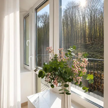 Lejlighedshotel Kvasova - Mountain