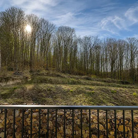 Kvasova - Mountain Lejlighedshotel Polyana (Transcarpathia)