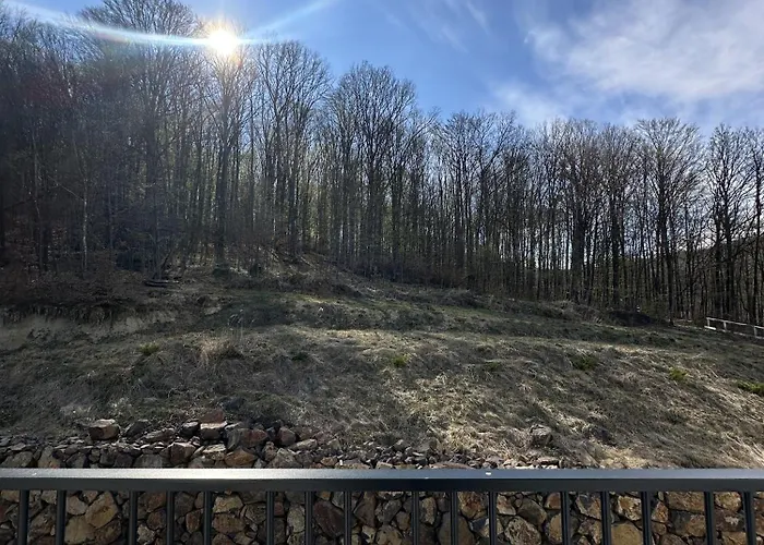 Apart-hotel Kvasova - Mountain Polyana (Transcarpathia)